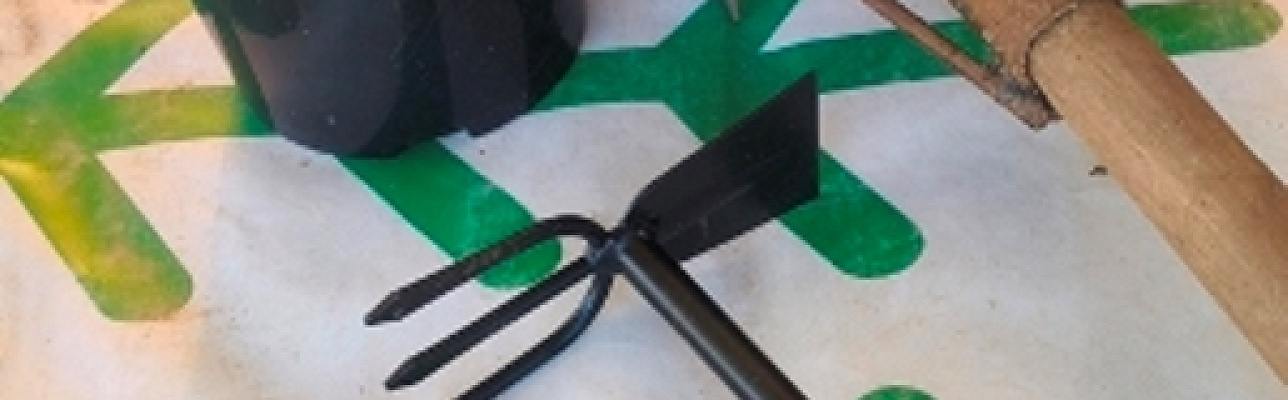 Мартовские хлопоты в нашем питомнике растений Бережки!