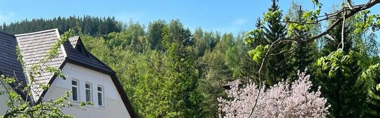 Весна в питомнике Бережки