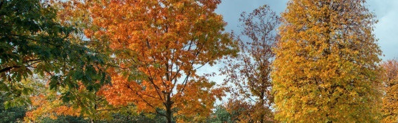 Делимся идеями преображения сада в новом сезоне.